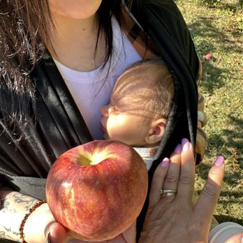 Karabin Farms - Apples as big as baby's head - Fruits & Veggies Near Me - Southington, Connecticut Karabin Farms - Apples as big as baby's head - Fruits & Veggies Near Me - Southington, Connecticut