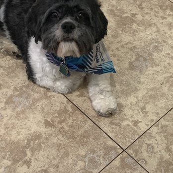 PetSmart - After - Pet Stores Near Me - North Las Vegas, Nevada