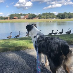 Marguerite H Brown Municipal Center-Goose Creek - Pond area