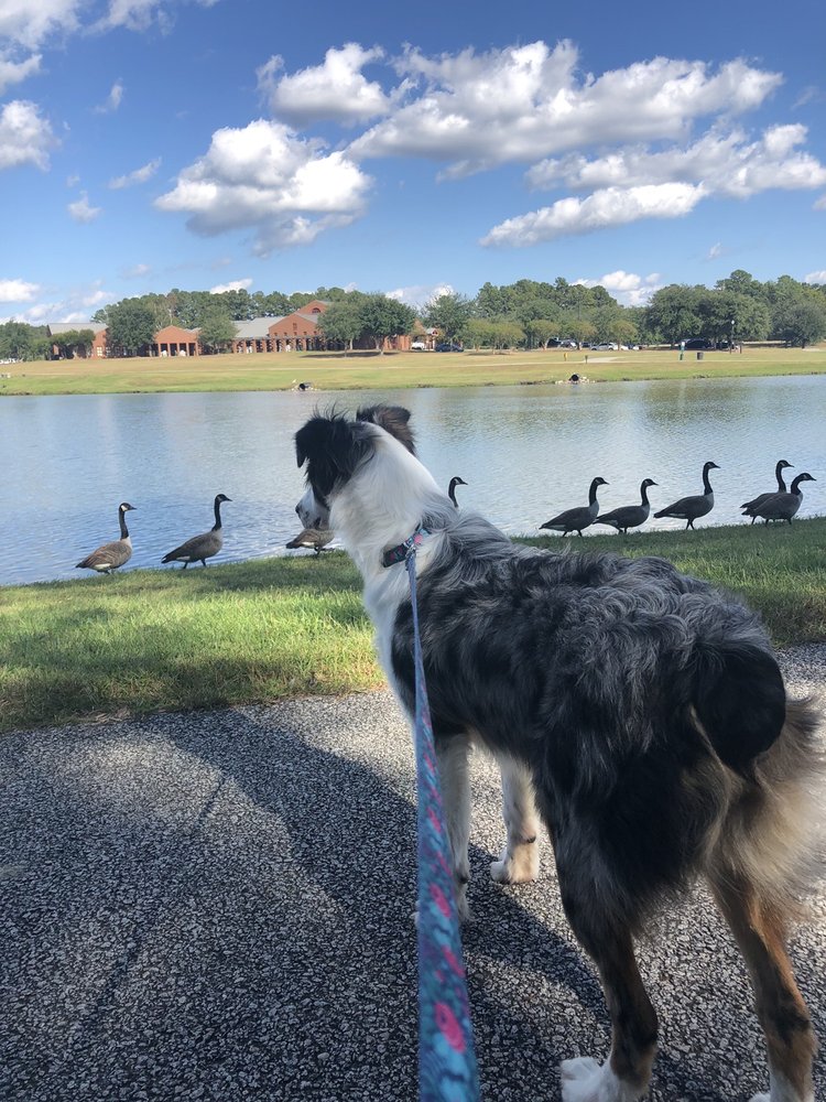 MARGUERITE H BROWN MUNICIPAL CENTERGOOSE CREEK 519 N Goose Creek