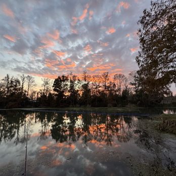 Florida Caverns RV Resort - Beautiful November sunset - RV Parks Near Me - Marianna, Florida Florida Caverns RV Resort - Beautiful November sunset - RV Parks Near Me - Marianna, Florida