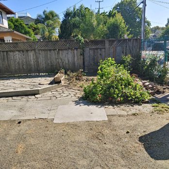 JMV Tree Service - After - Tree Services Near Me - Hayward, California JMV Tree Service - After - Tree Services Near Me - Hayward, California