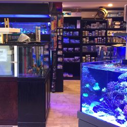 Aquatic Sealife - WE have an extensive selection of dry goods and stock the new Apex controllers, featuring Aquaforest salt and supplements.