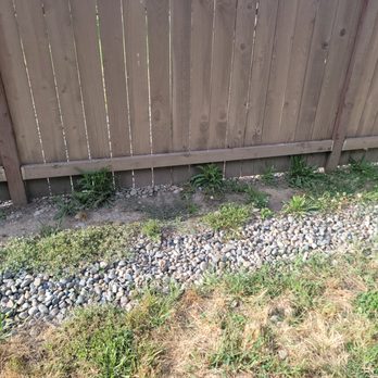 Arete Lawn Care - Weeds along my fence - Lawn Services Near Me - Tacoma, Washington Arete Lawn Care - Weeds along my fence - Lawn Services Near Me - Tacoma, Washington