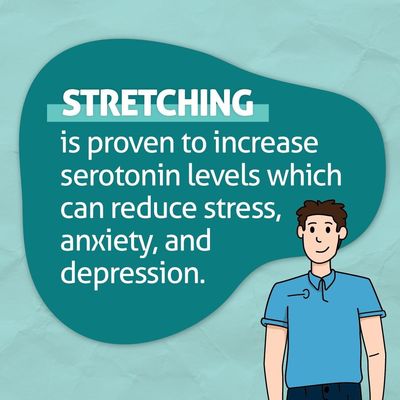 Stretch Zone by null