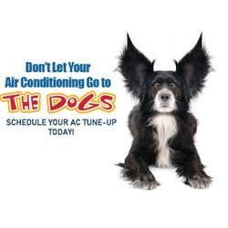 Accurate Baker Elman - Schedule your AC tune-up today.