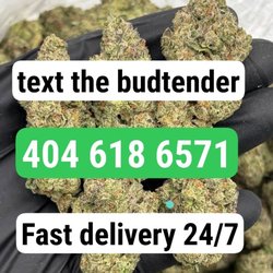 Trulieve Pace Dispensary