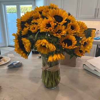 Newport Beach Flora - Sunflowers - Florists Near Me - Newport Beach, California Newport Beach Flora - Sunflowers - Florists Near Me - Newport Beach, California