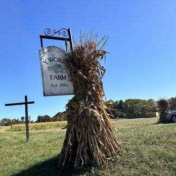 Y Worry Farm - Farmers Market Near Me - Davidsonville, Maryland Y Worry Farm - Farmers Market Near Me - Davidsonville, Maryland