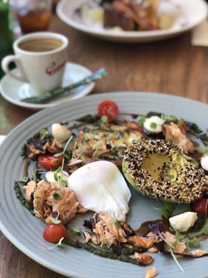 Vivo Palm Cove by null