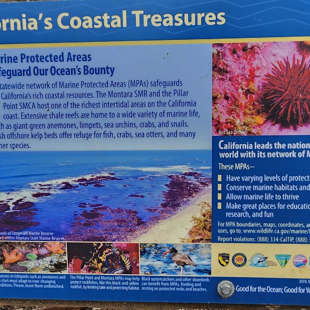 Fitzgerald Marine Reserve - Parks Near Me - Moss Beach, California