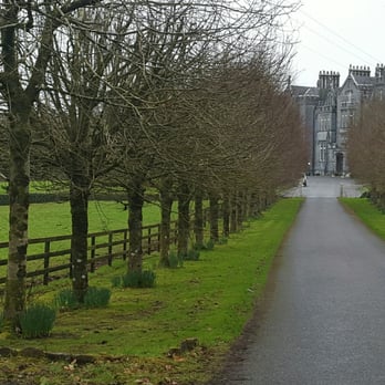 Kinnitty Castle - Hotels Near Me - Birr, OY