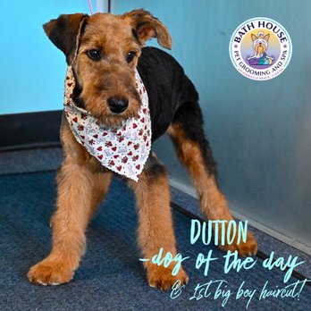 bath house pet grooming