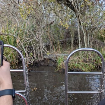 Ragin Cajun Airboat Tours - Boat Tours Near Me - Luling, Louisiana Ragin Cajun Airboat Tours - Boat Tours Near Me - Luling, Louisiana