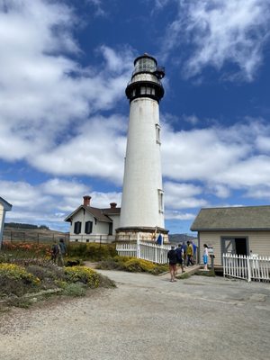 Pigeon Point Light Station State Historic Park by null