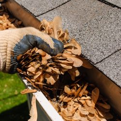 Orbit Window Cleaning - Gutter cleaning expert