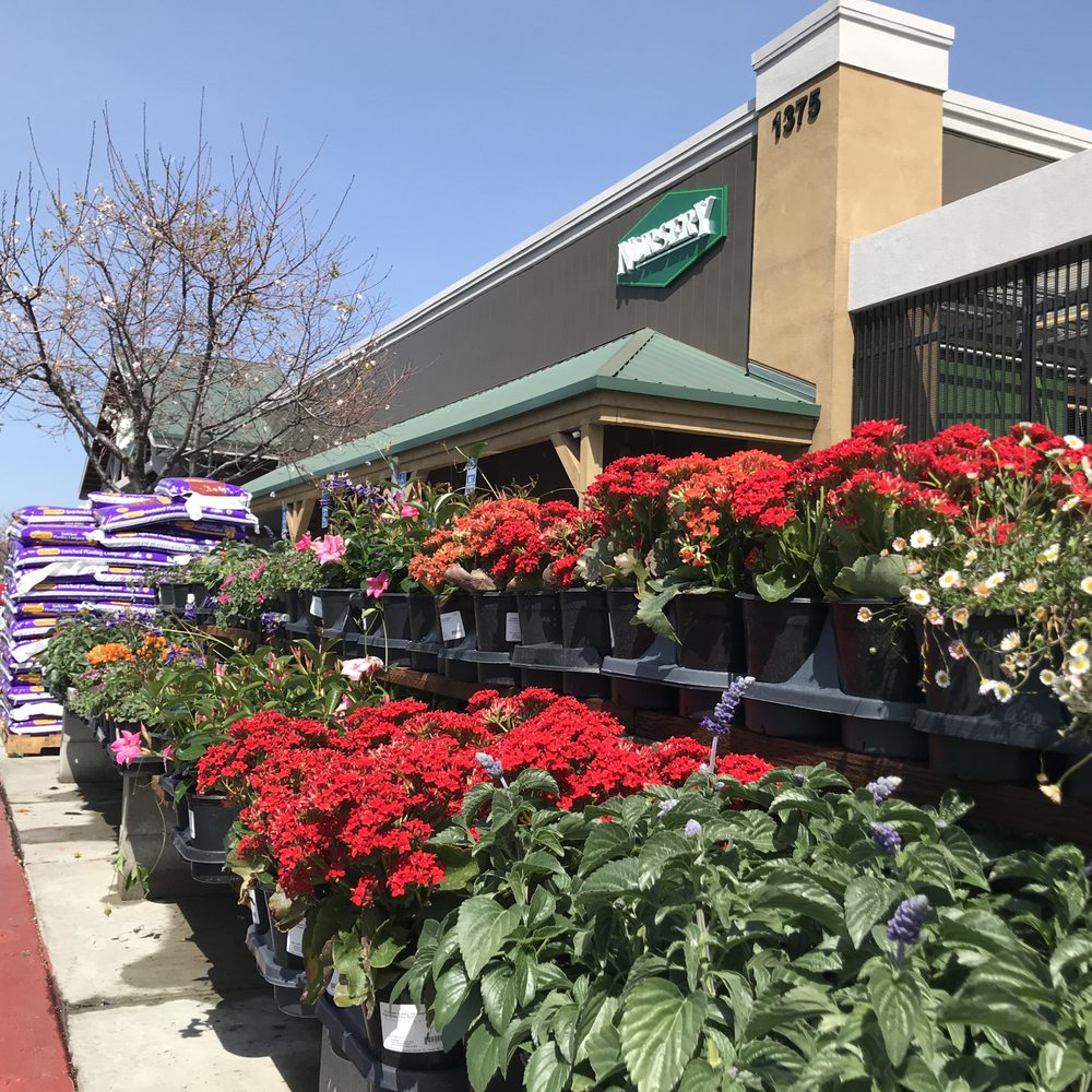 Outdoor Supply Hardware - On the outside, plants are healthy and attractively staged. - Hardware Stores Near Me - San Jose, California Outdoor Supply Hardware - On the outside, plants are healthy and attractively staged. - Hardware Stores Near Me - San Jose, California