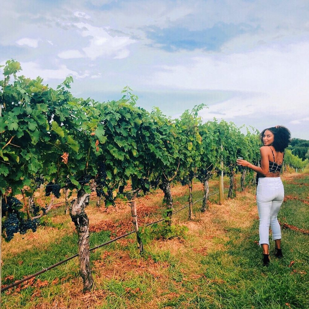 Great Frogs - Wineries Near Me - Annapolis, Maryland