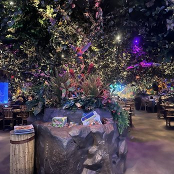 Rainforest Cafe - American Near Me - Galveston, Texas