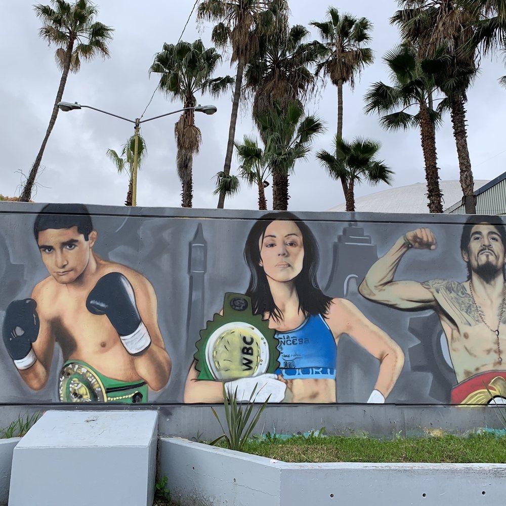 Auditorio Fausto Gutiérrez Moreno - Famous Mexican boxers/Wall of fighters - Performing Arts Near Me - Tijuana, BCN