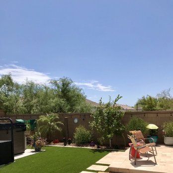 Three Trees Service - After - Tree Services Near Me Three Trees Service - After - Tree Services Near Me