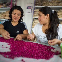 Ten Thousand Villages