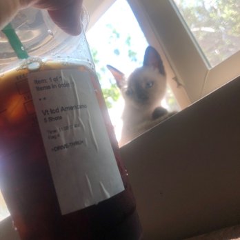 Starbucks - Americano with an extra shot! My sisters kitten posing in the back. - Coffee & Tea Near Me - Chandler, Arizona