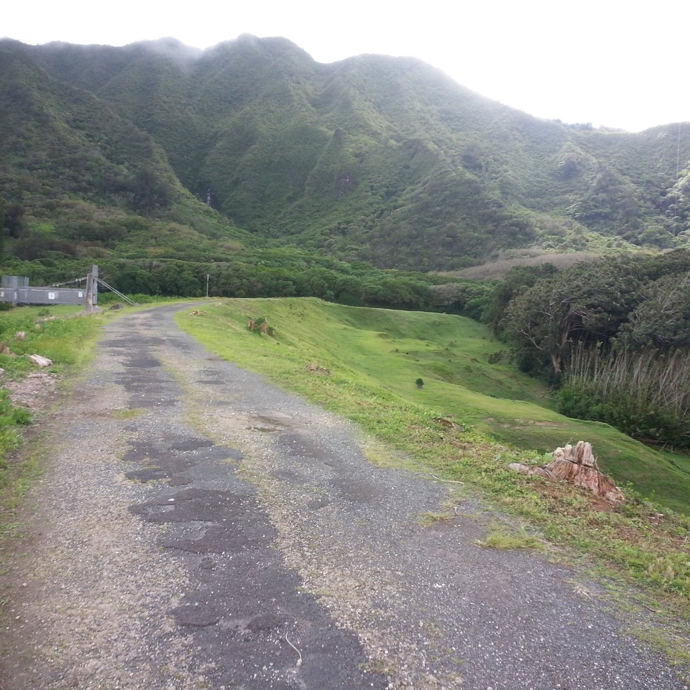 Lulumahu Falls - The EZ start - Hiking Near Me - Honolulu, Hawaii