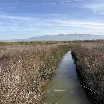 Alviso Marina County Park - Parks Near Me - Alviso, California