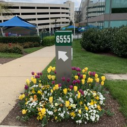 Rock Spring Children's Center - Path to School Entrance
