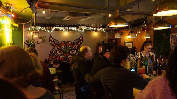 The Owl's Tail by null