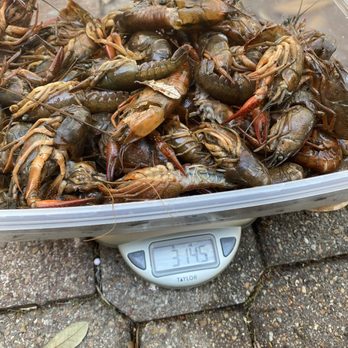 Emery's Seafood - 4 pounds of dead crawfish in one sack. - Seafood Markets Near Me - Seabrook, Texas