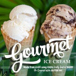 Gecko Girlz Shave Ice and Ice Cream - Gourmet Ice Cream