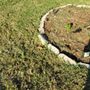 Lawn Love Lawn Care -Tampa