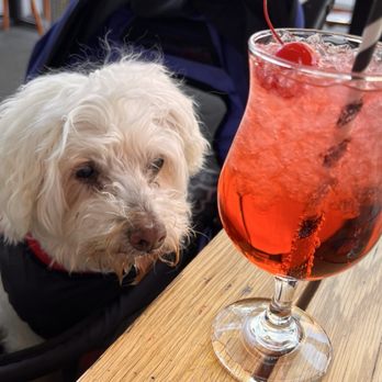 Delarosa Bishop Ranch - Cherry Italian soda - Pizza Near Me - San Ramon, California Delarosa Bishop Ranch - Cherry Italian soda - Pizza Near Me - San Ramon, California