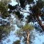 Photo of Wurlsee Camping Lychen