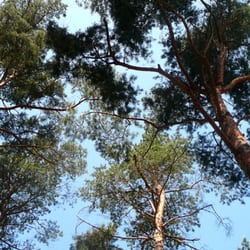 Wurlsee Camping Lychen