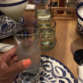 Tacology - Tequila shot was so big! - Mexican Near Me - Miami, Florida Tacology - Tequila shot was so big! - Mexican Near Me - Miami, Florida