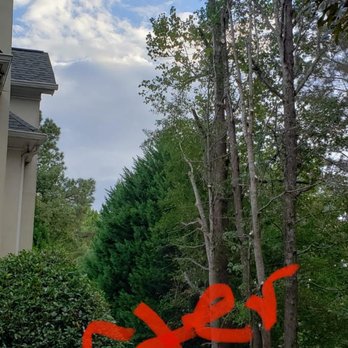 BNB Tree Service - BNB Tree Service - Tree Services Near Me