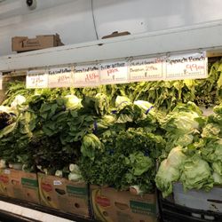 Felipe's Market - More green selections to choose from
