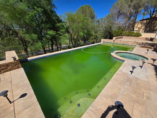 Green to Clean without draining the pool - One of my customers owns a vacation home here in town but lives out of state. For years, they struggled to find reliable pool service while they were away. Every time they returned, they were met with the same frustration—the pool was green, cloudy, and unusable. Multiple companies told them the only solution was to drain the entire pool and start fresh.

When they hired me, I took a different approach. Instead of draining, I carefully balanced the water chemistry, treated the pool step by step, and restored circulation. Within a short time, I brought their pool back to crystal-clear, perfect condition—without wasting thousands of gallons of water or adding unnecessary costs.

Now, their pool stays blue year-round, even when they’re not in town, because they finally have someone dependable to keep it that way.