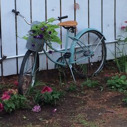 Boondoggle Resort