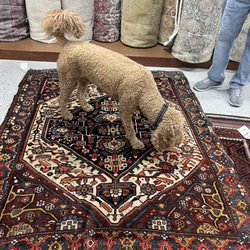 Nalbandian Rugs - Theo