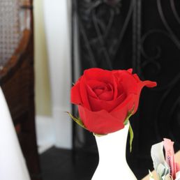 Table Rose Table Rose