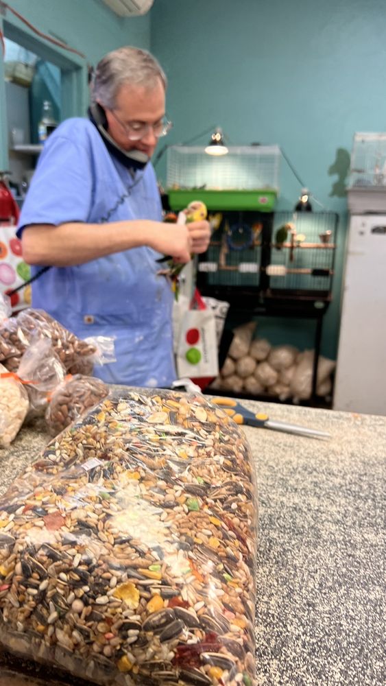 Parrots of the World - reptile breeding in Rockville Centre, NY