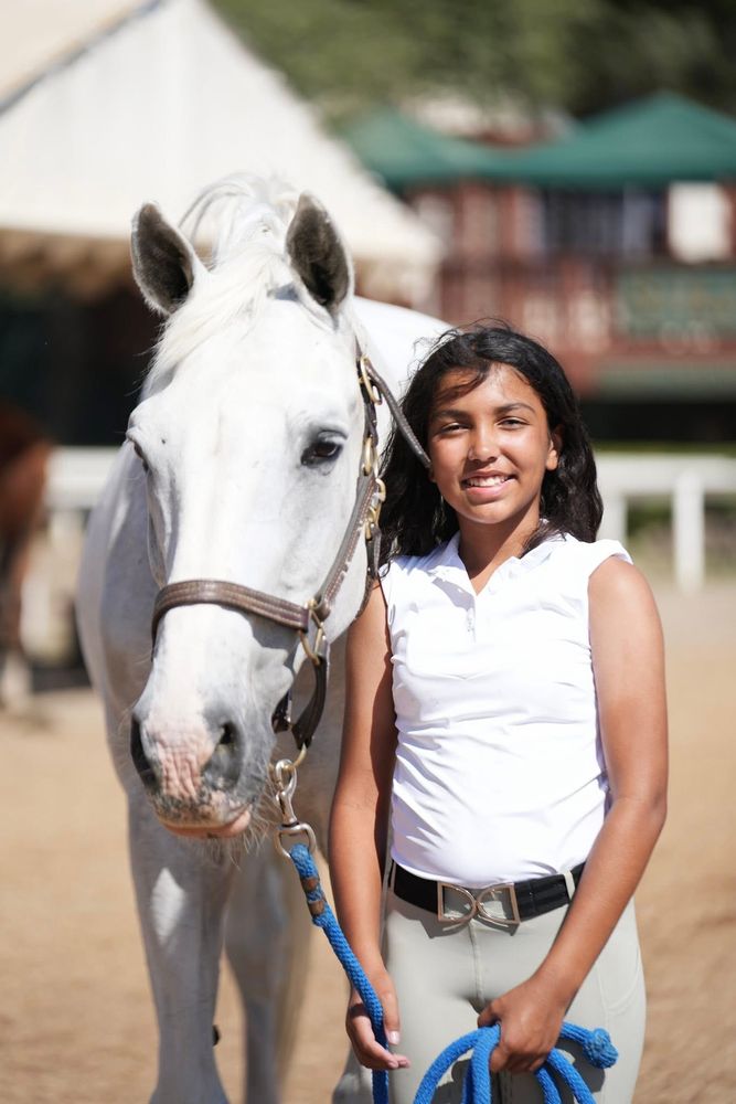 By Design Equine Logo