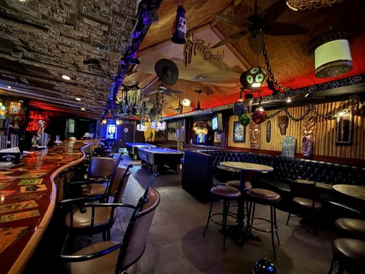 Purple Orchid by null