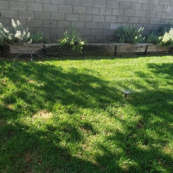 Structure Landscape & Irrigation - Landscaping Near Me - Riverside, California