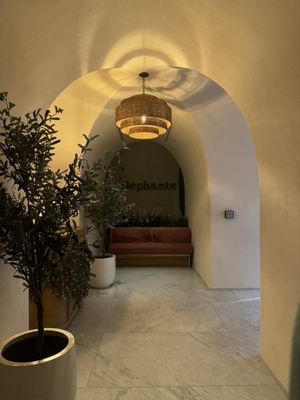 Élephante Scottsdale by null