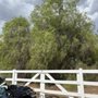 J A G S Tree Service
